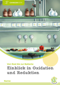 Einblick in Oxidation und Reduktion