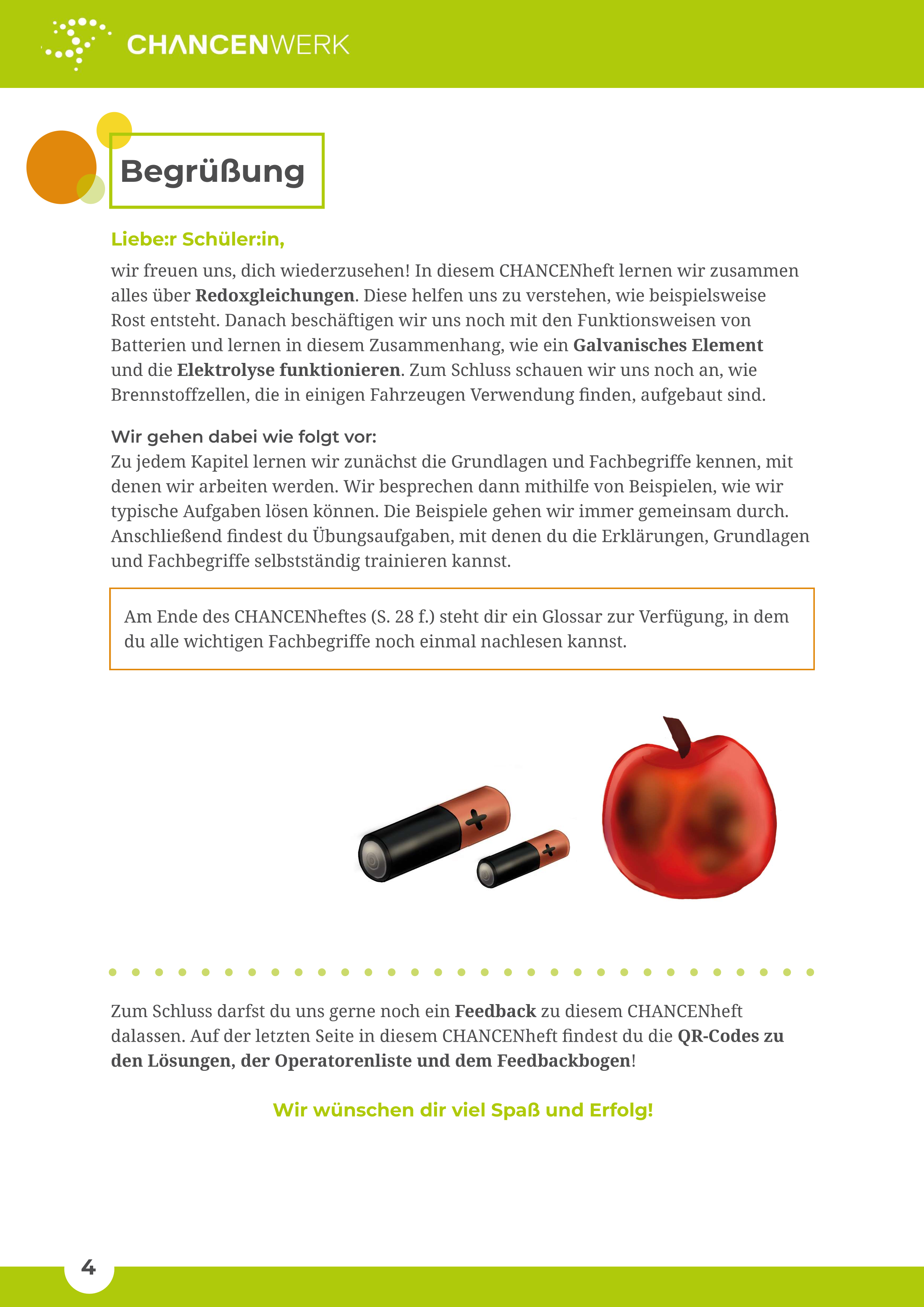 Einblick in Oxidation und Reduktion