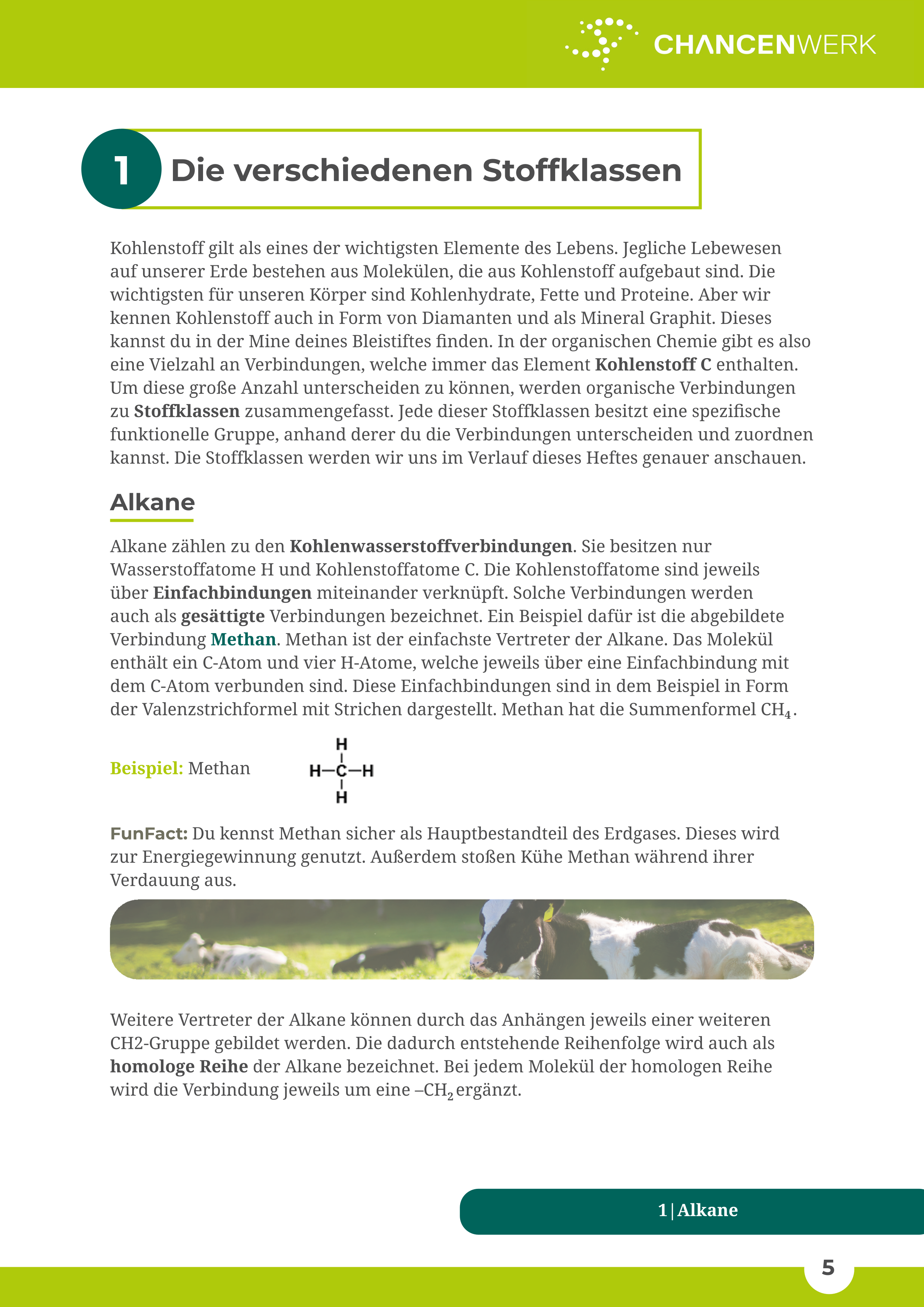 Kohlenstoffverbindungen und Stoffklassen