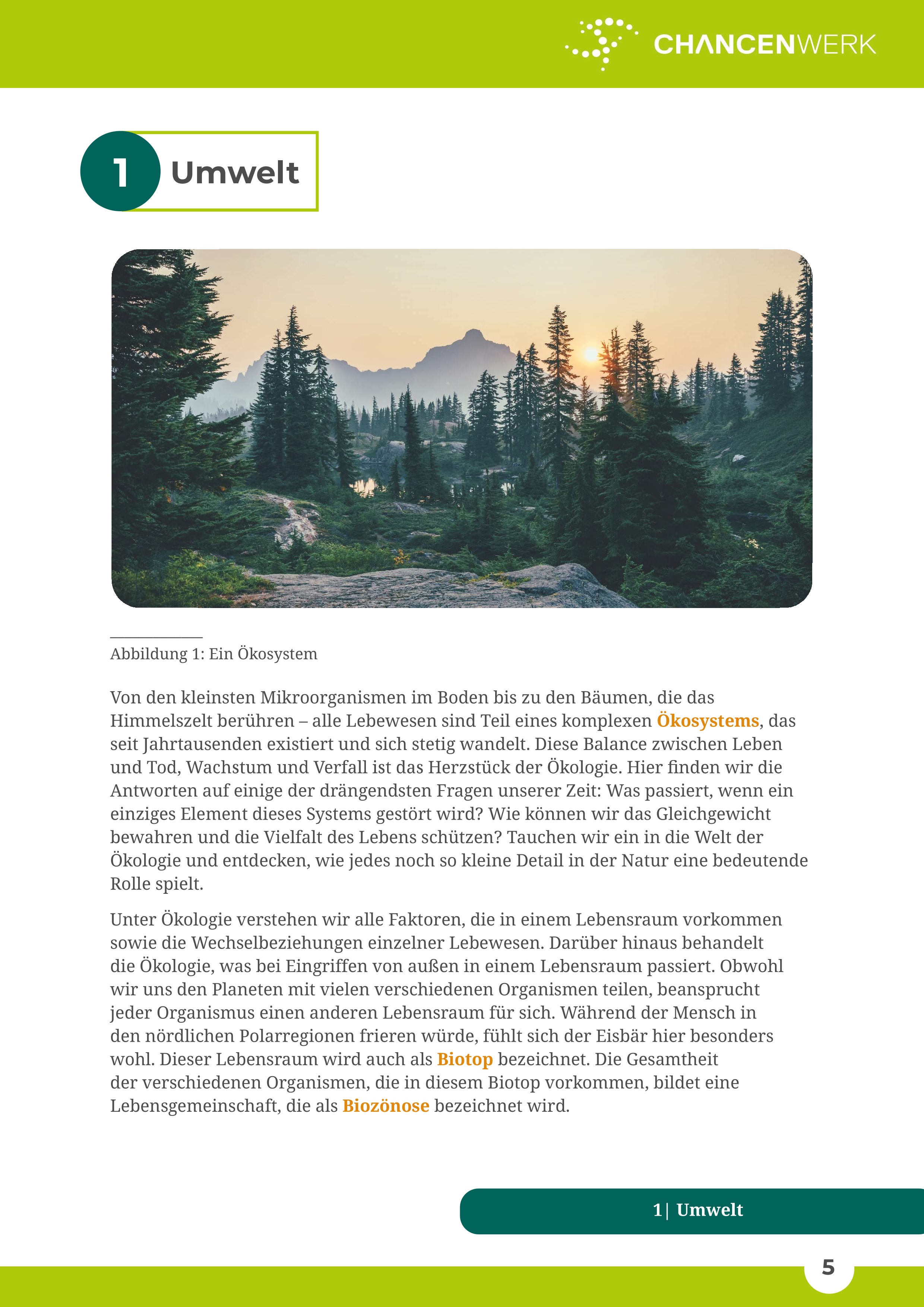 Ökologie I
